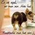 comment