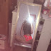 comment