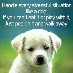 comment