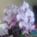 comment