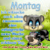 comment