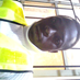 comment