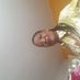 comment