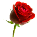 comment