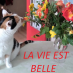 comment