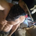 comment