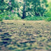 comment