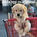 comment