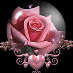 comment