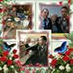 comment