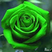 comment