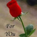 comment