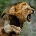 comment