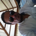 comment