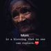 comment