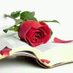 comment
