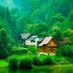 comment