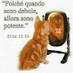 comment