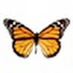 comment