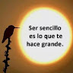 comment