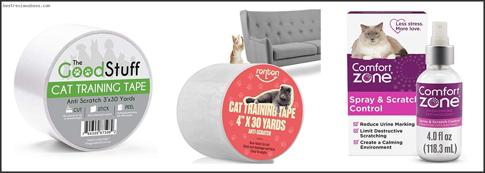 Top 7 Best Furniture For Cats That Scratch For 2022