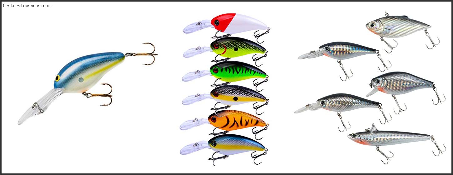 Top 7 Best Deep Diving Bass Lures For 2022