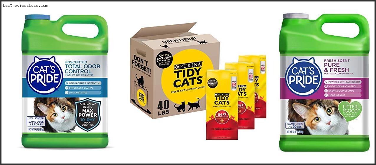 Top 7 Best Cat Litter Clumping For 2022