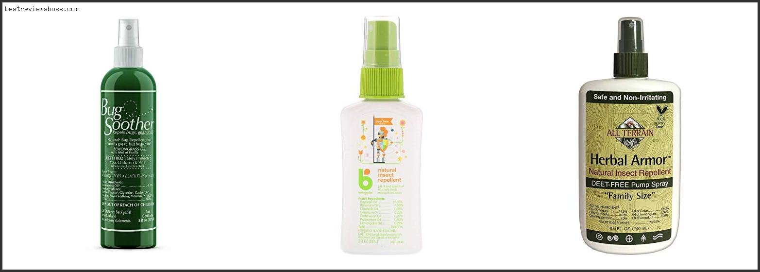 Top 7 Best All Natural Bug Spray For 2022