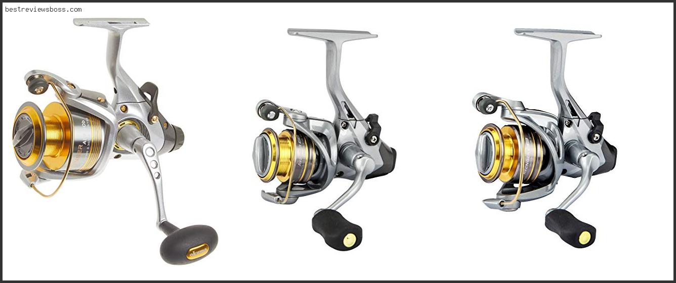 Top 7 Best Feeder Reel Under 100 For 2022