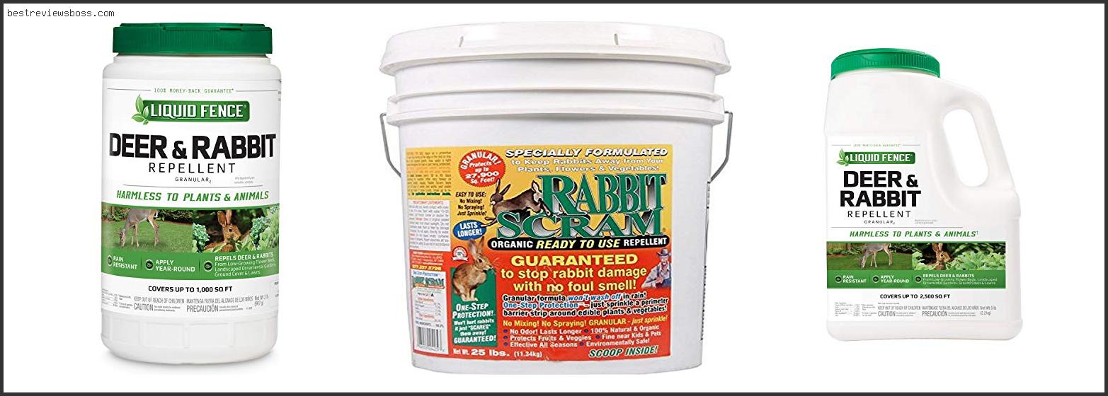 Top 7 Best Bunny Repellent For 2022