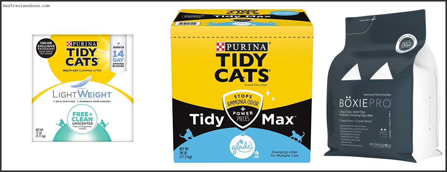 Top 7 Best Cat Litter For Odor And Dust For 2022