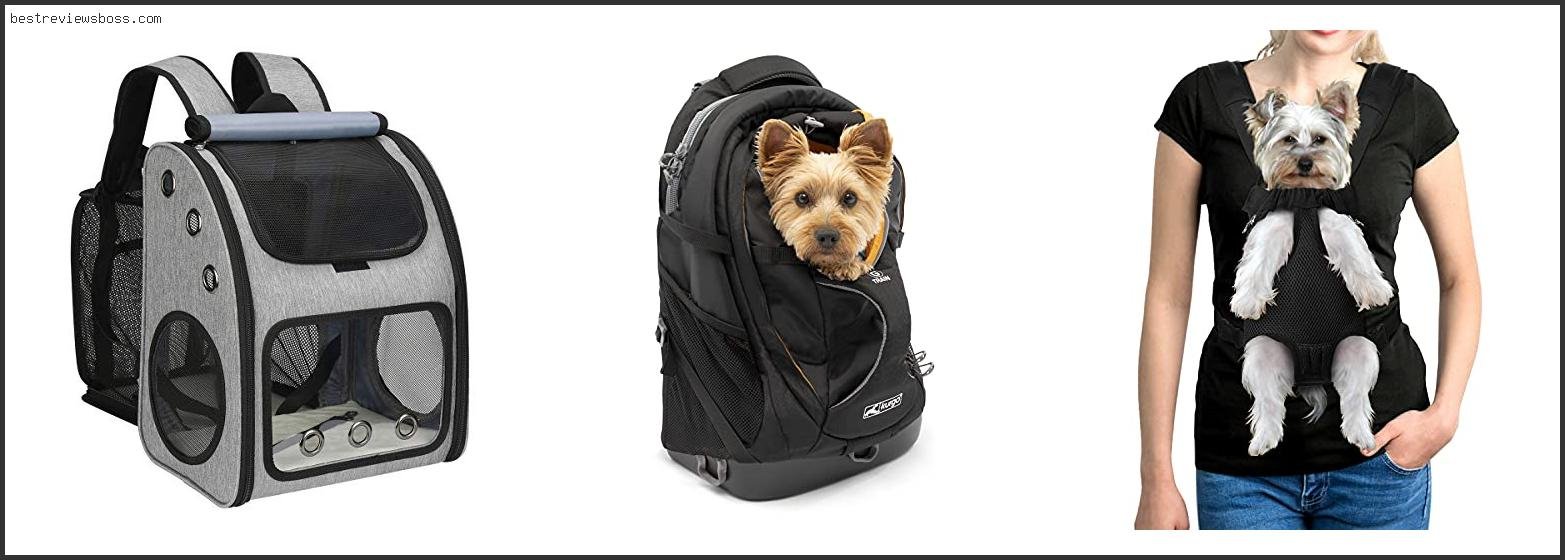 Top 7 Best Dog Backpack Carrier For Hiking For 2022