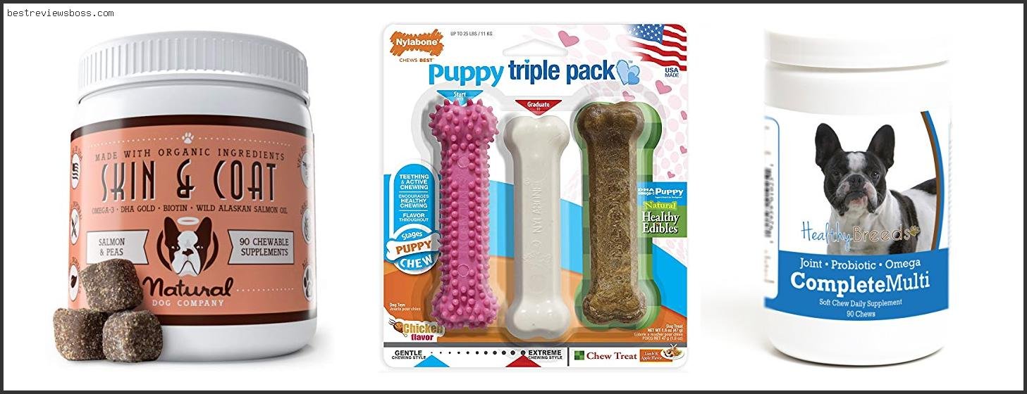 Top 7 Best Chews For French Bulldog Puppies For 2022