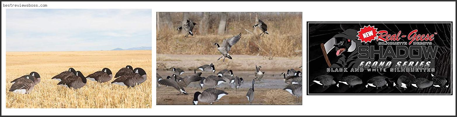 Top 7 Best Goose Silhouette Decoys In 2022