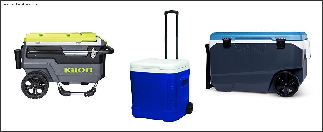 Top 7 Best Igloo Cooler With Wheels In 2022