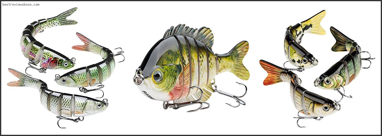 Top 7 Best Big Bass Lures In 2022