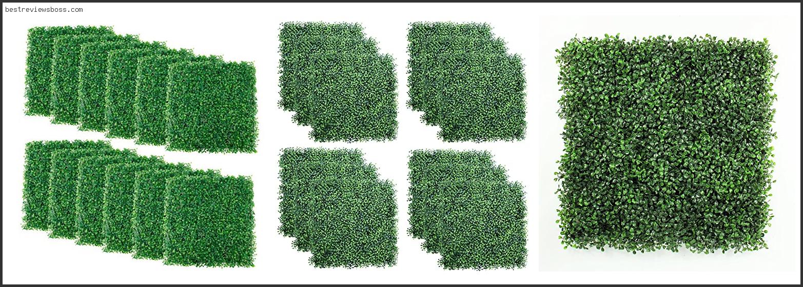 Top 7 Best Artificial Boxwood Panels In 2022