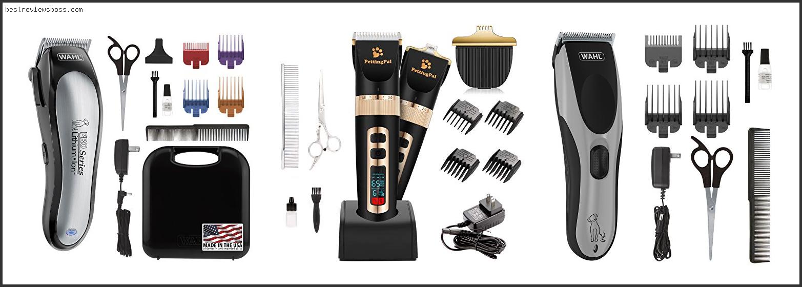 Top 7 Best Home Grooming Dog Clippers In 2022