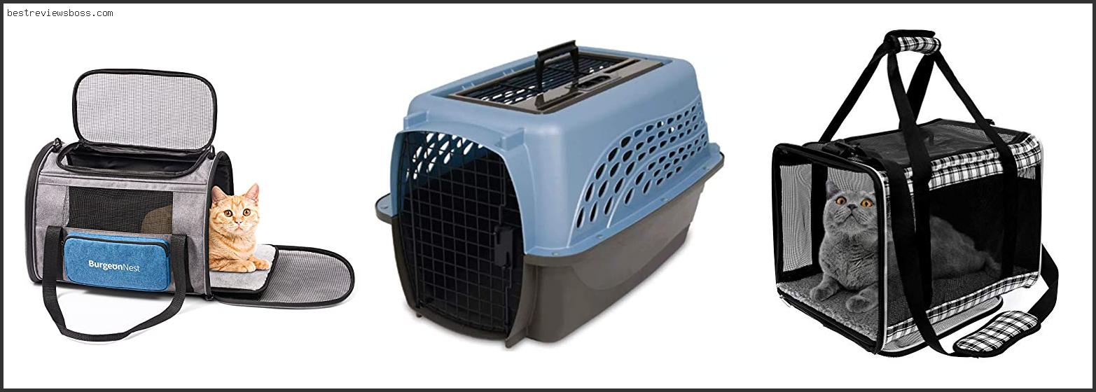 Top 7 Best Large Cat Carrier In 2022