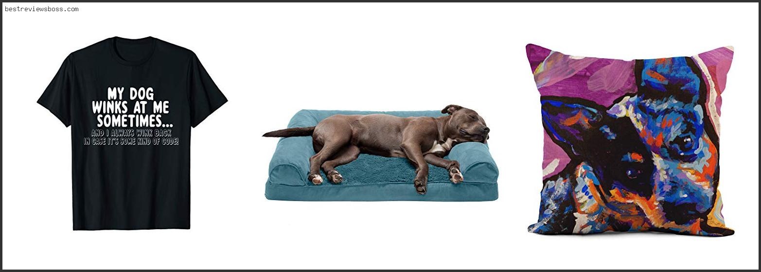 Top 7 Best Dog Bed For Blue Heeler For 2022