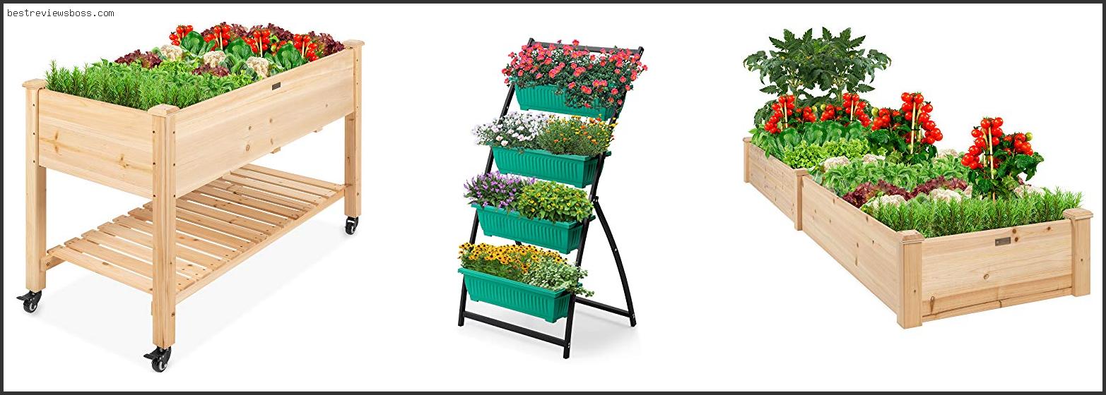 Top 7 Best Dimensions For Raised Beds For 2022