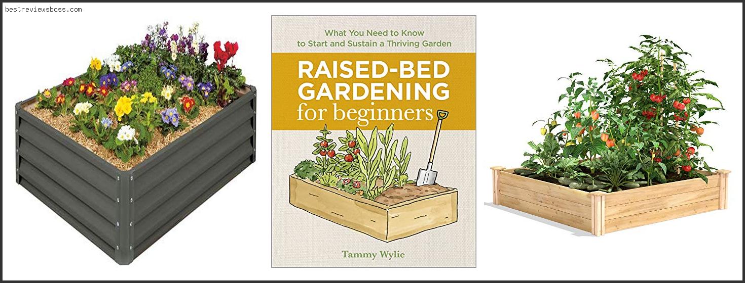 Top 7 Best Depth For A Raised Garden Bed For 2022