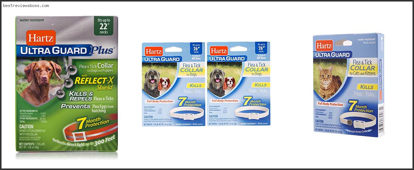 Top 7 Best Collar For Fleas And Ticks For 2022