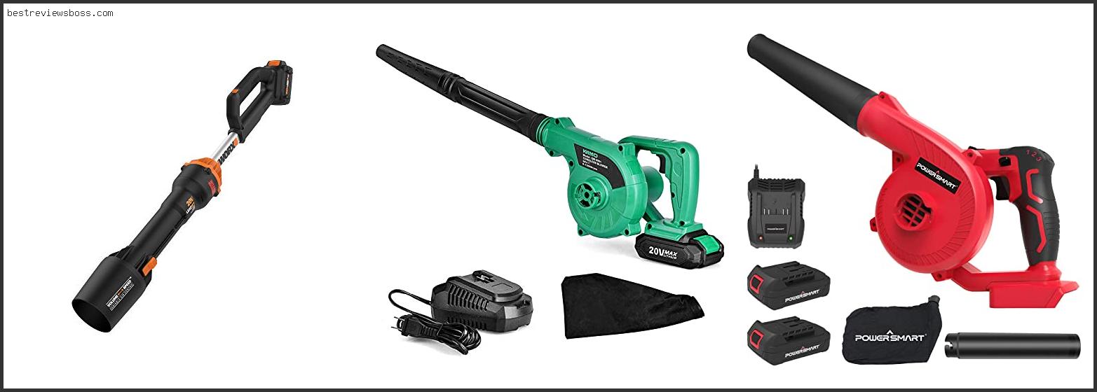 Top 7 Best Compact Cordless Leaf Blower For 2022