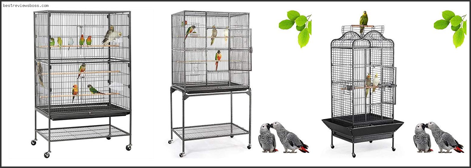 Top 7 Best Cage For African Grey For 2022