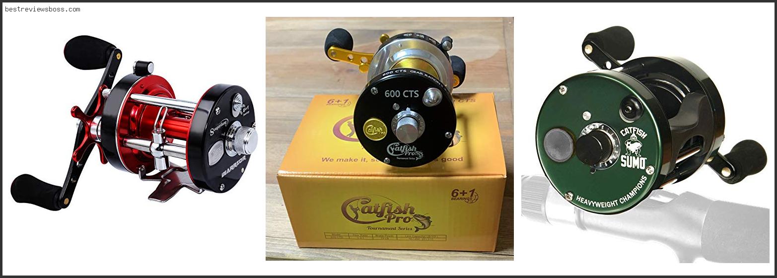 Top 7 Best Baitcasting Reel For Catfish For 2022