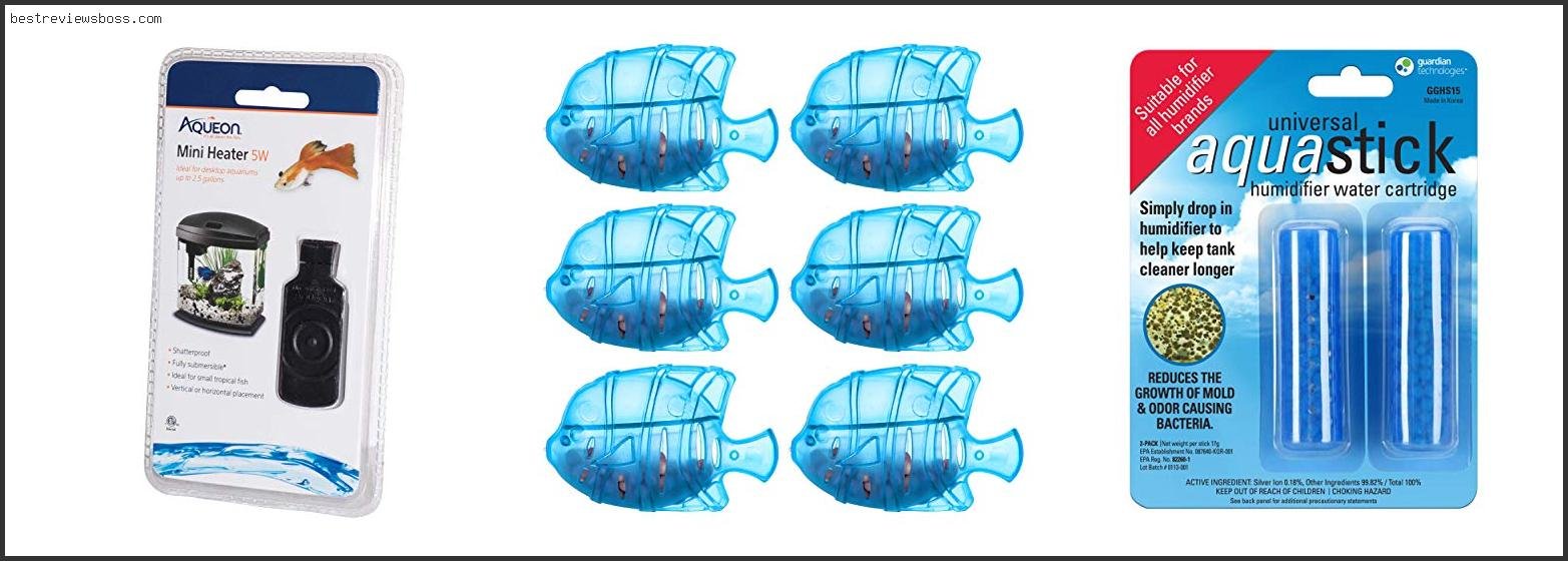 Top 7 Best Filter For Cold Water Fish Tank For 2022