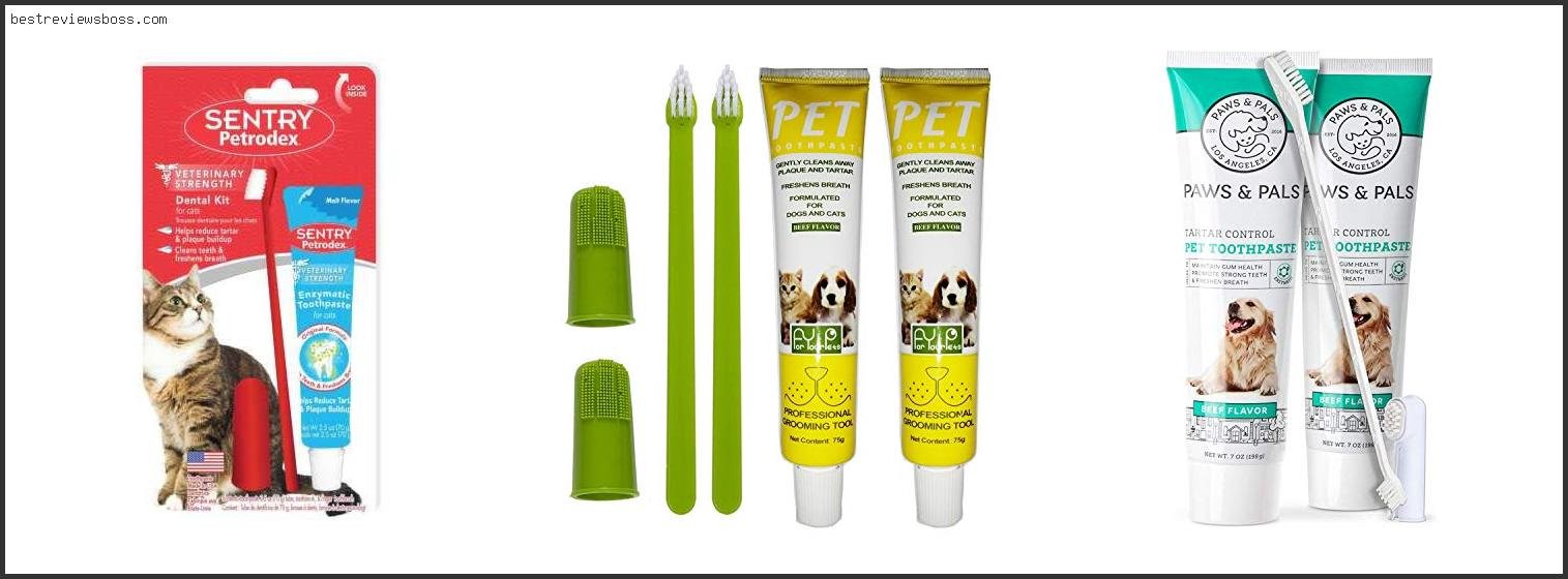 Top 7 Best Cat Toothbrush And Paste For 2022