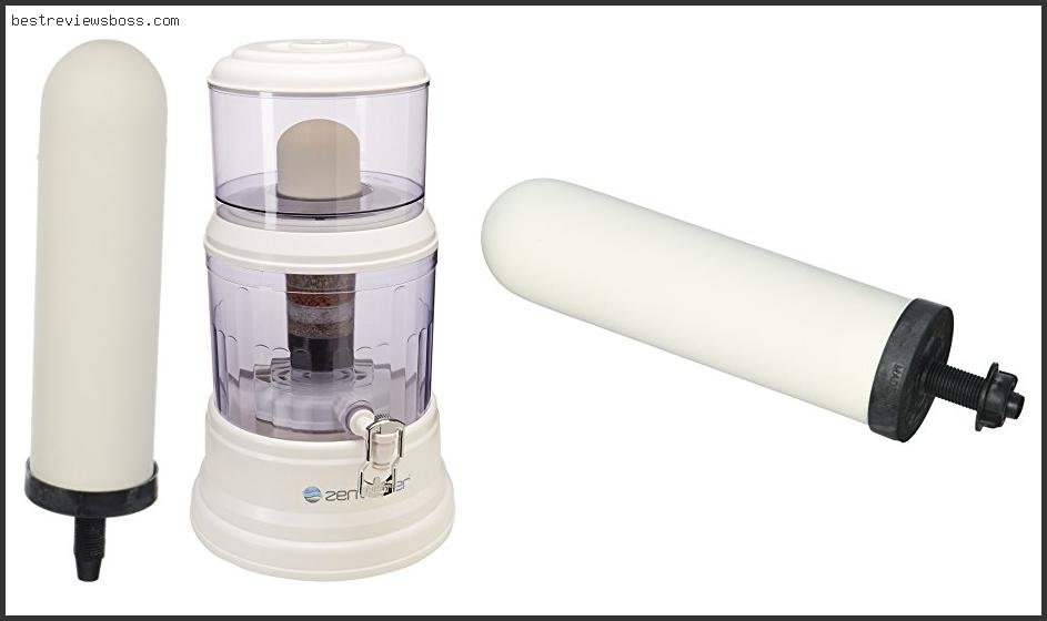 Top 7 Best Ceramic Water Filter For 2022