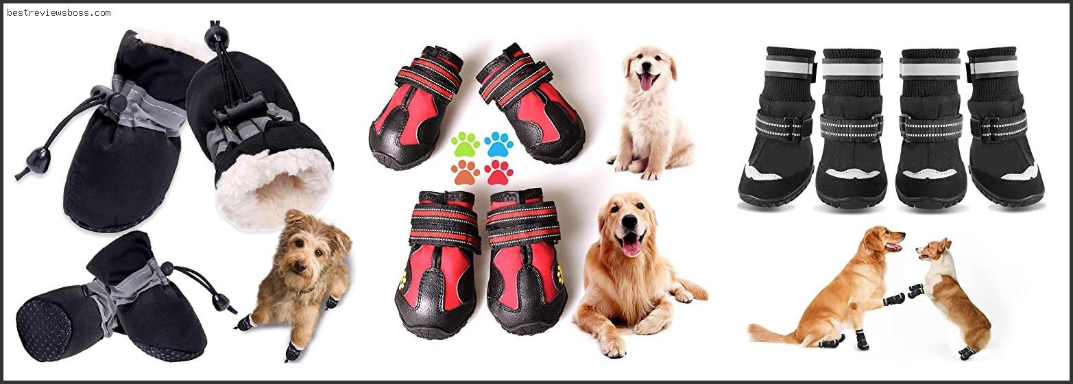 Top 7 Best Dog Booties For Winter For 2022